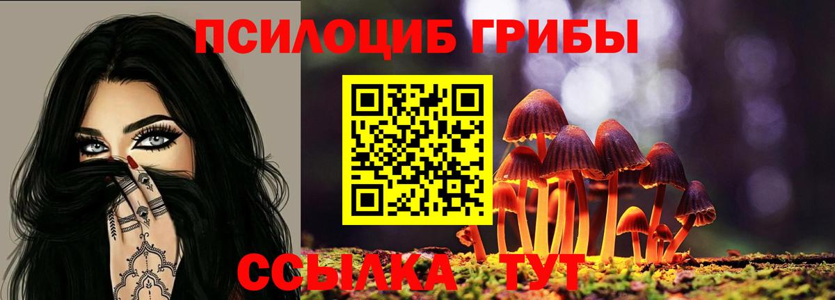 Галлюциногенные грибы ЛСД  Галлюциногенные грибы MAGIC MUSHROOMS  Вход с VPN  Наро-Фоминск 